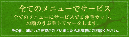 まゆ毛カットサービス